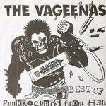The Vageenas : Best of Punk Rockers from Hell